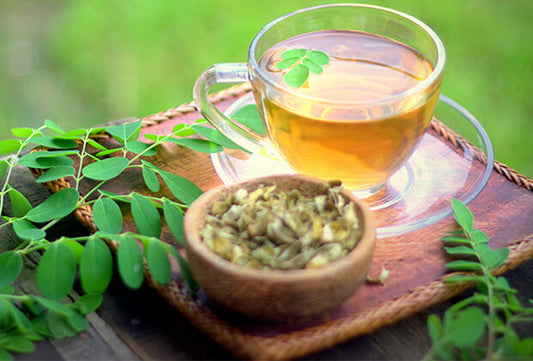 Moringa – The Herb that Heals
