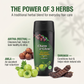 Amla, Aritha (Reetha) & Shikakai Shampoo – 350 ml | Charm & Glow