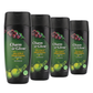 Amla, Aritha (Reetha) & Shikakai Shampoo – 350 ml | Charm & Glow