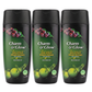 Amla, Aritha (Reetha) & Shikakai Shampoo – 350 ml | Charm & Glow