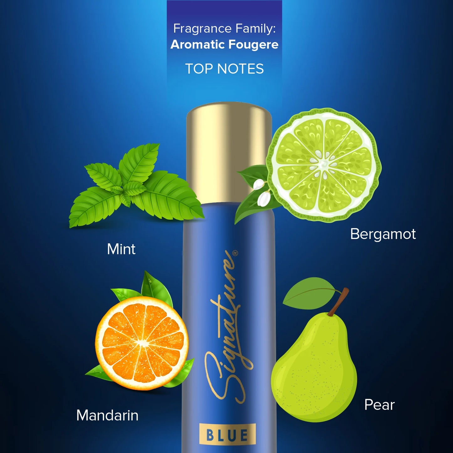 Signature Blue 70 Ml Deodorant Notes