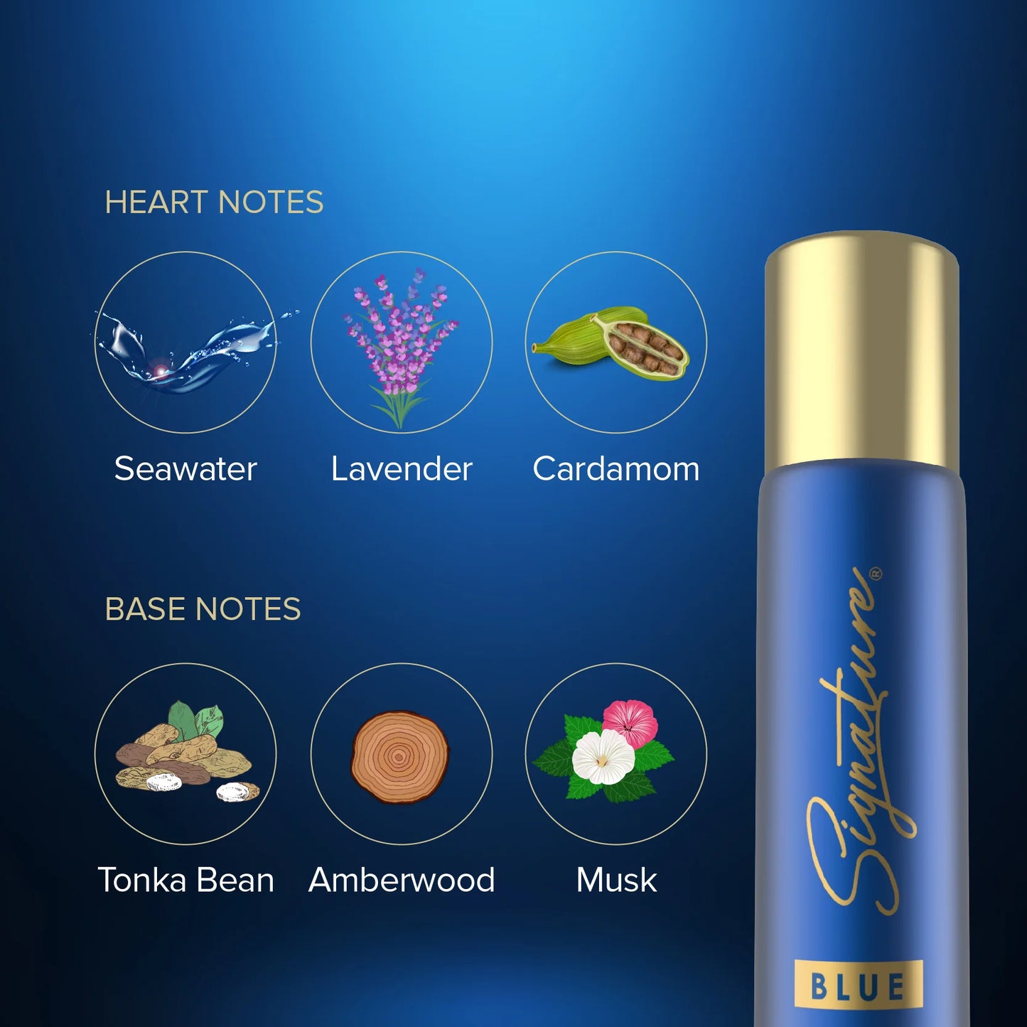 Signature Blue 70 Ml Deodorant Fragrance Notes Details