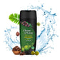 Herbal Shampoo Combo Pack of 3 | Amla Aritha Shikakai, Tulsi Heena Aloe Vera, Neem Lemon