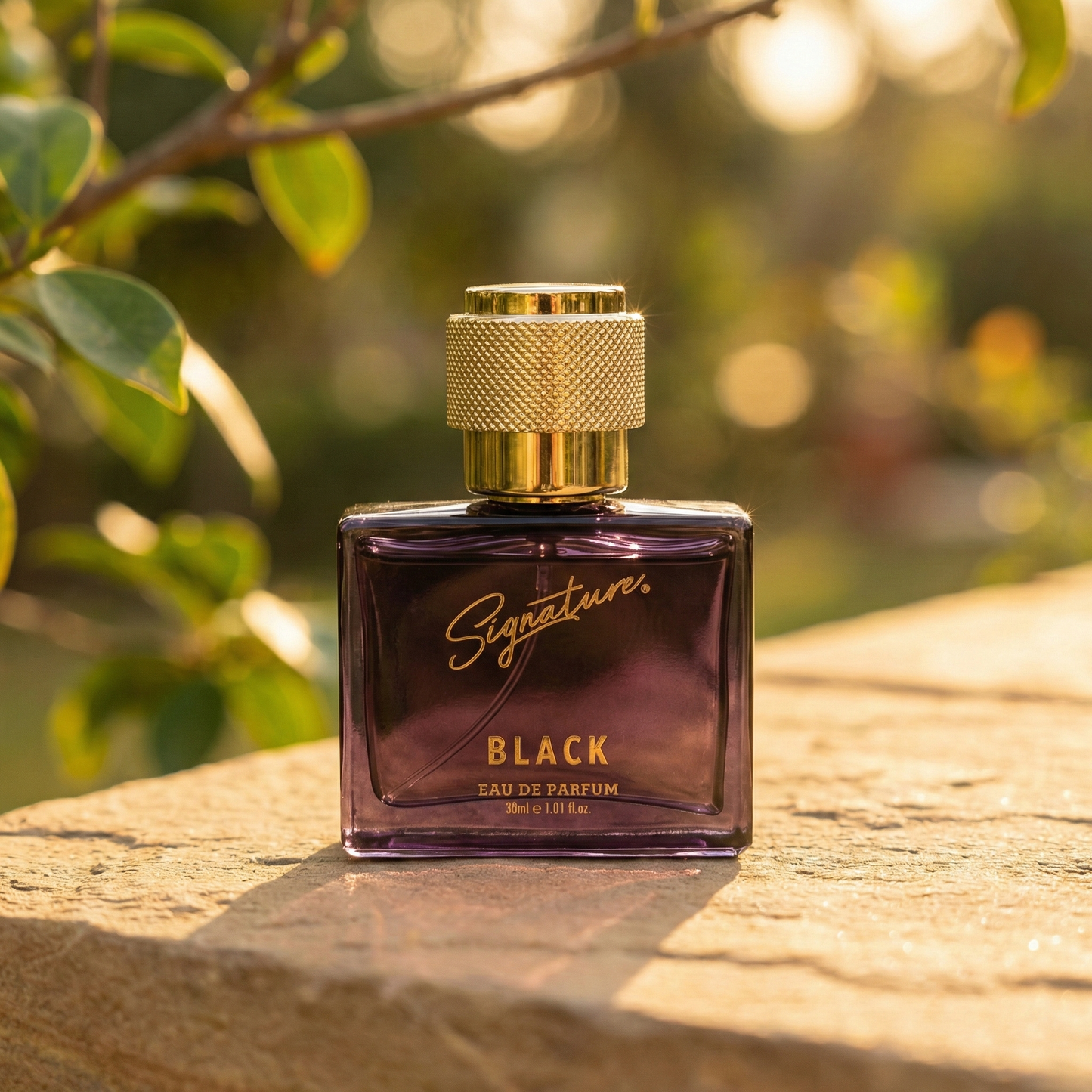 Signature Premium Black EDP Perfume - 30 ML