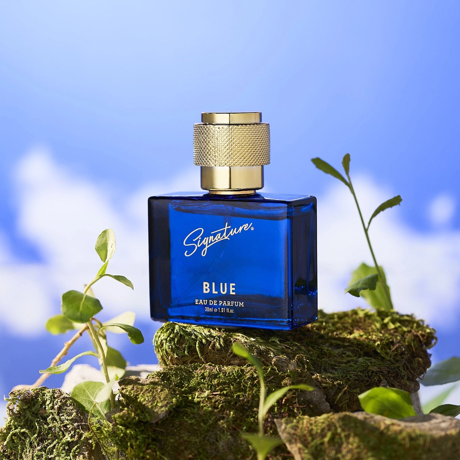 Blue body shop perfume