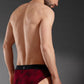 The Secret Loom Men's Brief - 95% Bamboo, 5% Elastane - Premium Underwear for Men