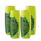 Tulsi, Heena & Aloevera Herbal Shampoo