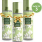 Jasmine Air Freshener 250ml x 3